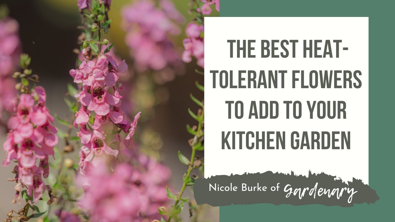The Best Heat-Tolerant Flowers to Add to Your Kitchen Garden
