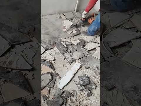 Макаренко 5. Садовая.