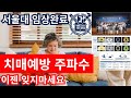 서울대가 증명한 치매 예방 주파수: 두뇌 건강의 새로운 혁명