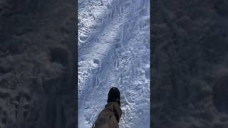 鳴き雪　ホルメンコーレンマーチ　クロスカントリースキー大会