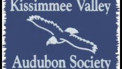 Brian Cammarano: One Good Tern Deserves Another: Life on a Seabird Nesting Island