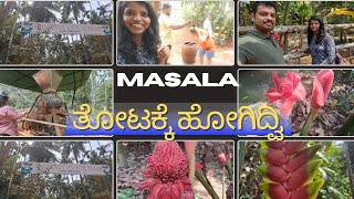 Spice form/Yaw ಮಸಾಲೆ ಬೇಕು?