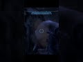 Alien dog... HALO The master chief collection