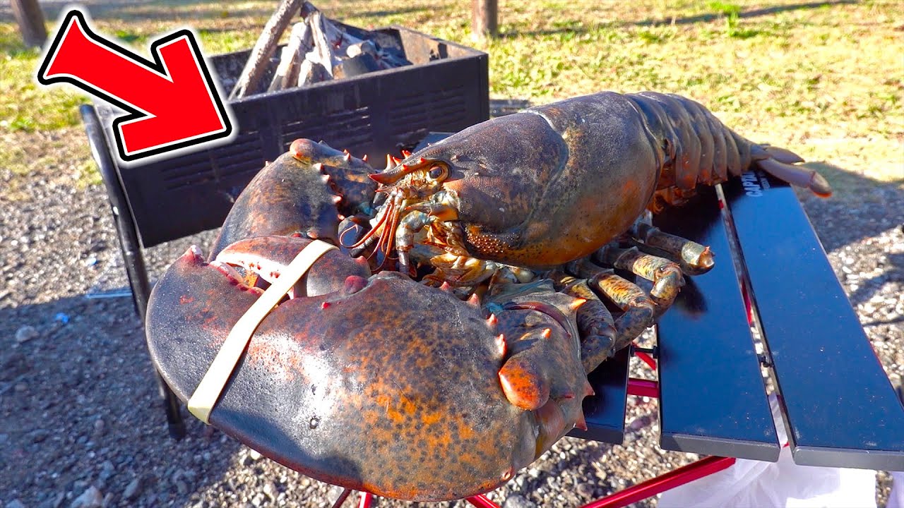 4キロ越え キャンプ場で規格外の怪物ロブスターを丸ごと茹でたら大変な目に遭った 大食い Youtube 4キロ越え キャンプ場で規格外の怪物ロブスターを丸ごと茹でたら大変な目に遭った 大食い Youtube