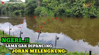 NGERI..!!Mancing Ikan Disungai Umpan Usus Ayam Joran Melengkung Ditarik Buaya