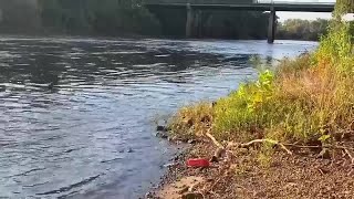 Keep Albany-Dougherty Beautiful to host annual Rivers Alive clean-up