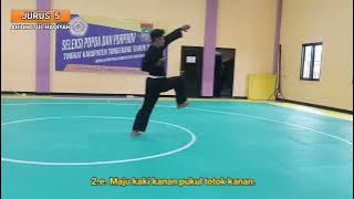 JURUS 5 - JURUS TUNGGAL TANGAN KOSONG PENCAK SILAT