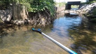 City Creek Treasure: What Happened to the Duck & Mystery Item City Creek Treasure: What Happened to the Duck & Mystery Item