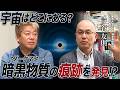 宇宙の謎に迫る世紀の発見！？東京大学・戸谷先生が見つけたダークマターの痕跡らしきシグナルとは？