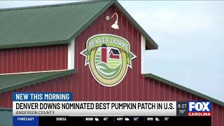 Upstate farm nominated for best pumpkin patch by USA Today Readers Choice
