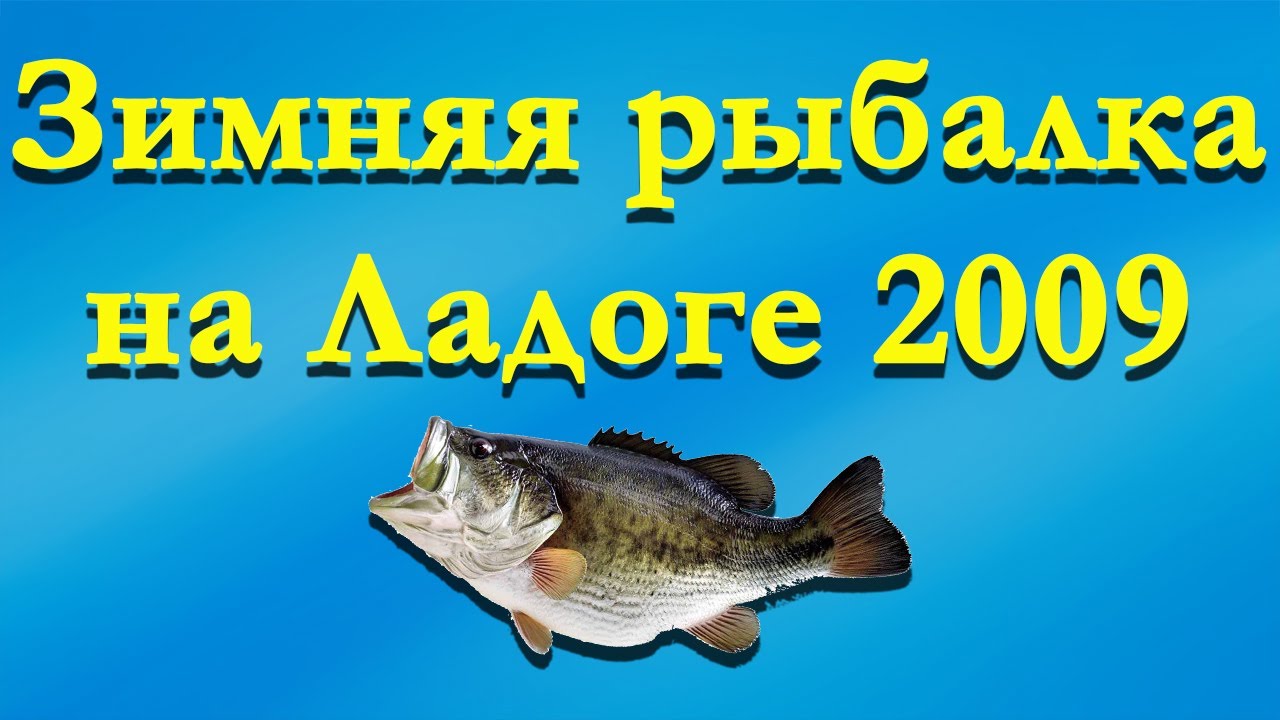 Моторное на ладоге