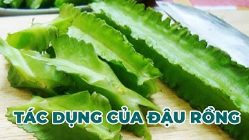 6 tác dụng tuyệt vời của đậu rồng chưa chắc bạn đã biết - Kênh Hướng Dẫn