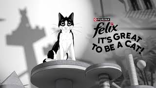 Felix, Its Great To Be A Cat Verwen Je Kat Als Een Ster Met Felix Heerlijke Plakjes, 15