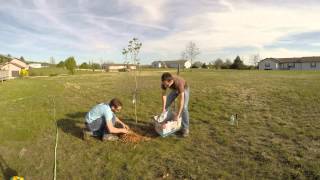 Arbor Day 2014