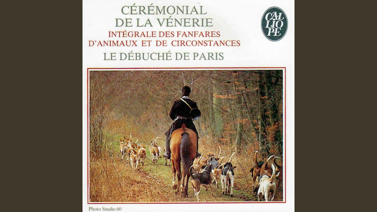 L'arrivée au rendez-vous - Le nouveau départ - La marche de la vénerie - La vue