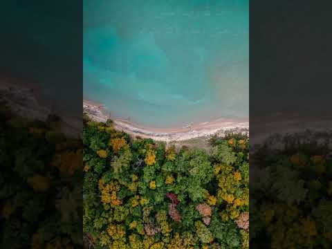 سورة الكافرون القارئ هزاع البلوشي 