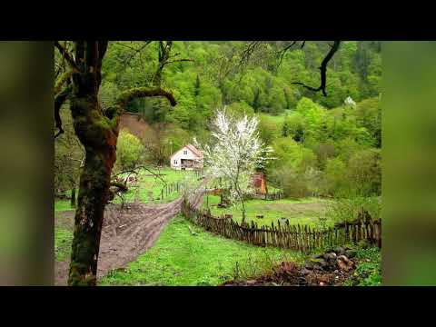 აფრასიონს უხარია