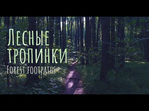 Лесные тропинки II Forest footpaths 💚 4k nature