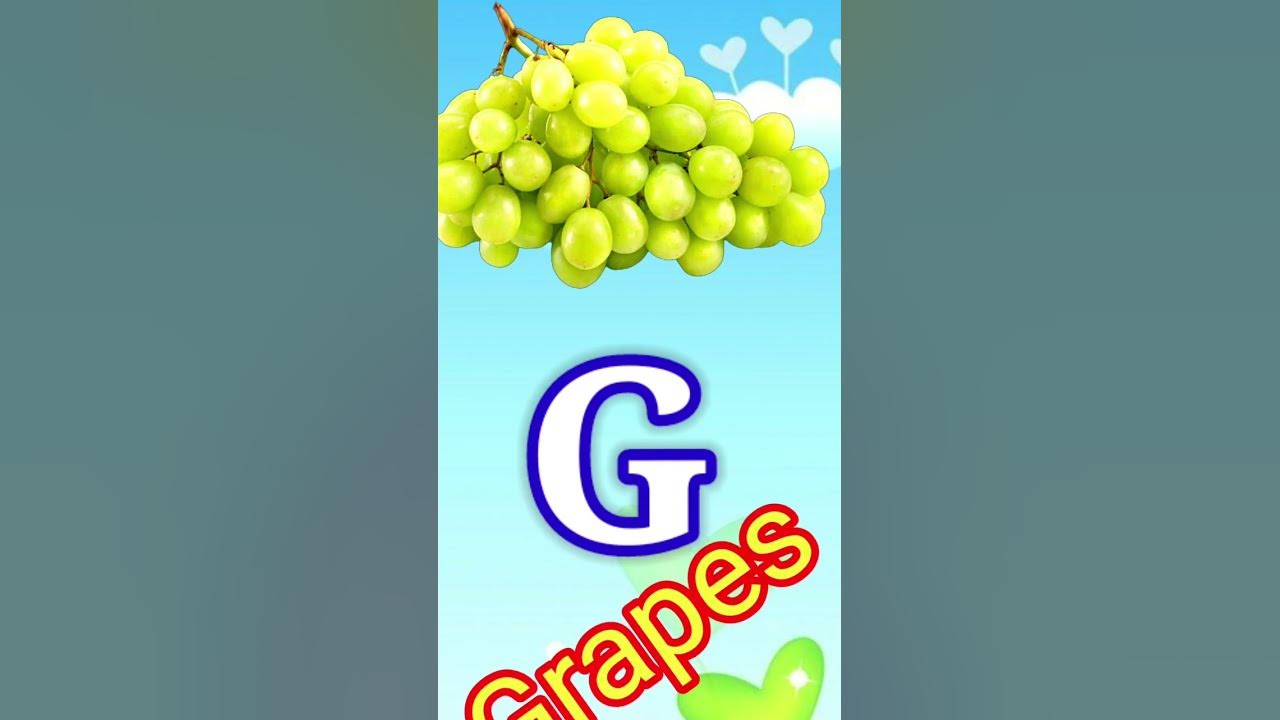 g-words-g-words-that-starts-from-g-gforgame