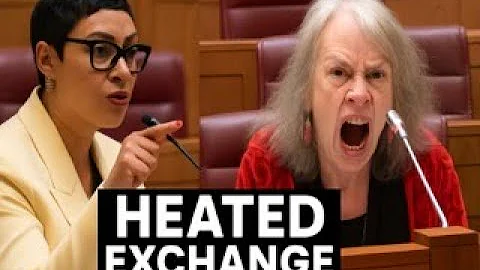 Mary de Haas SHUT DOWN by Hon. James — Tense Exchange Rocks Parliament!