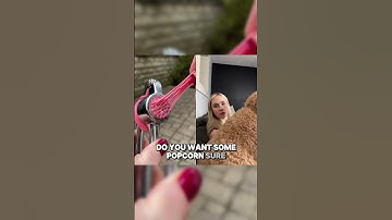 We discuss for fun, he decides for real!  #funny #funnyvideo #viralvideo #video #foryou