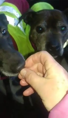 Amy-23-0135-vid002 - YouTube