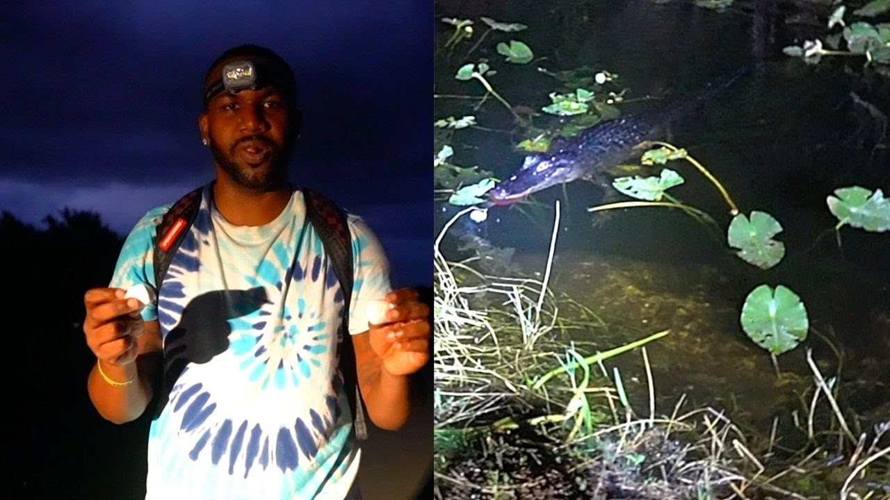 Alligator to slow to catch me (Journey through the Everglades)