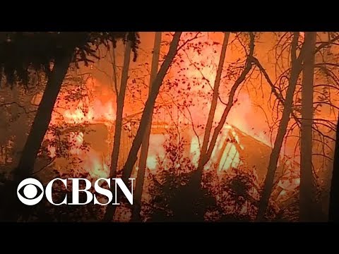 14 fires ablaze throughout California; dozens dead