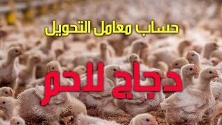 حساب معامل التحويل في الدواجن