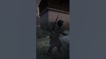 My Most Normal DayZ Interaction EVER