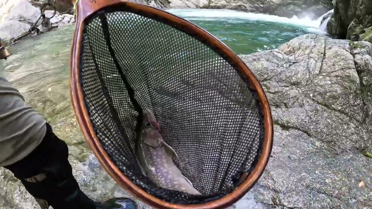 【会津渓流釣り】秘境の奥地から遂に４０オーバーの岩魚が出現‼