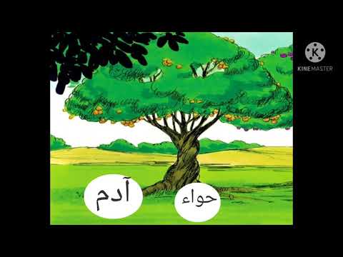 الجزء الثاني من قصة آدم عليه السلام خلق حواء