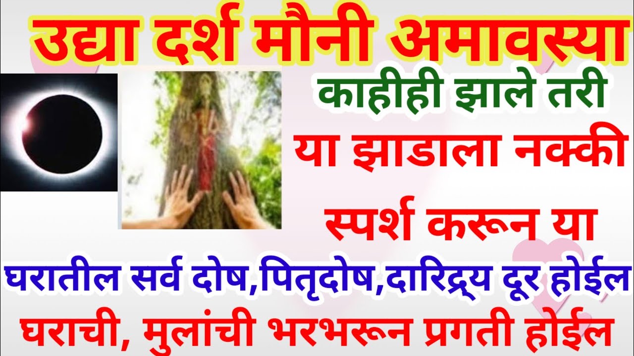 उद्या मौनी अमावस्या# या झाडाला नक्की स्पर्श करा