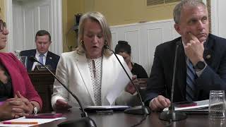 Budzinski Testifies to Lower Cost for Families, Protect Digital Equity Act