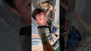 The High Risk, High Reward World of Swiftlet Nest Collecting