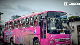 Mega Bus Lines E-329 Accident