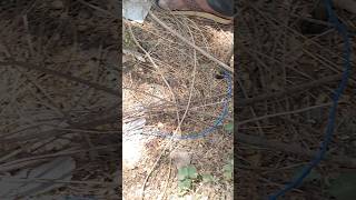 #iti #electrician #experiment #earthing #safetyfirst #navsari #training