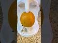 هاي الاله لليتعاجز يگشر برتقال Shorts جديد ترند فيديو ضحك لايك طبخ برتقال 