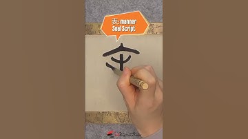 Daily Character Challenge 表 #inkdifferentstudio #calligraphyart #learncalligraphy #learnchinese