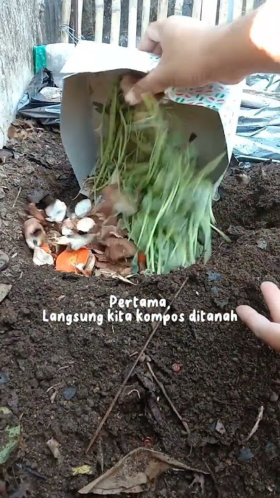 Mengolah Sampah Organik #sampah #sampahorganik #zerowaste