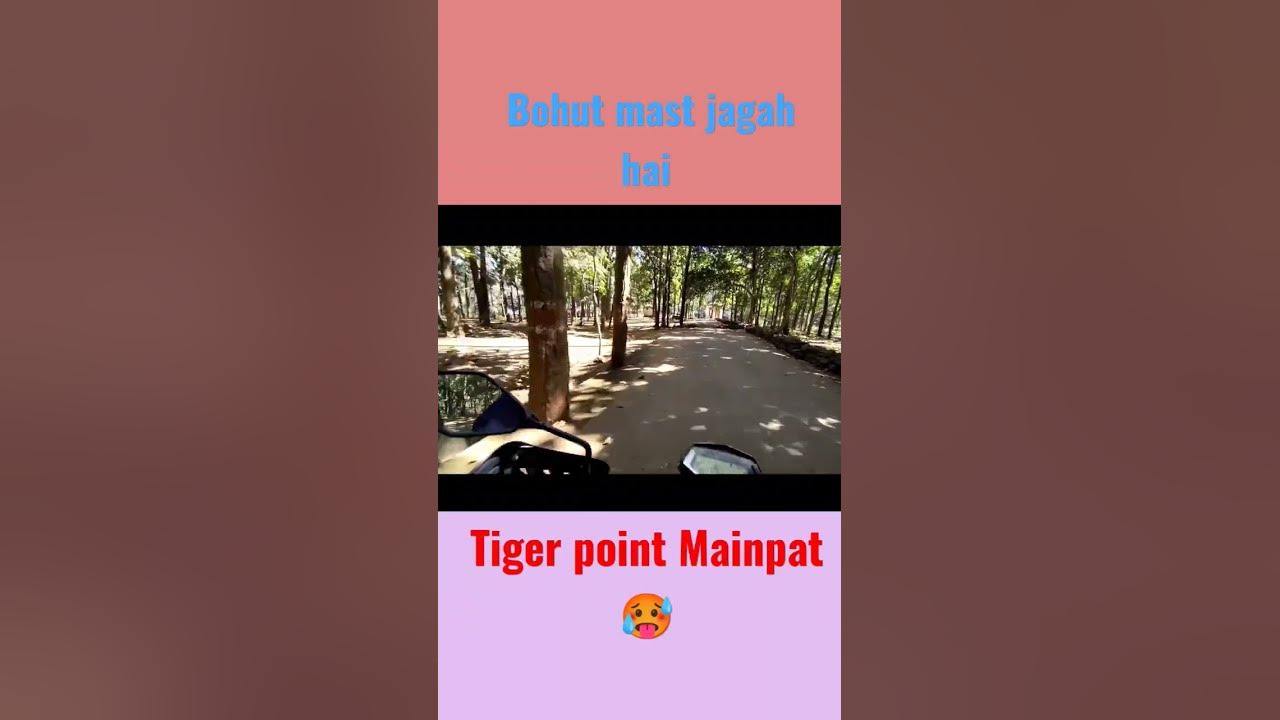 tiger point Mainpat 🥵 mr mainpat mrsintashorts YouTube