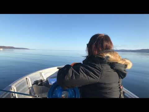 Video: Hvilken Taktikk å Velge For Fiske