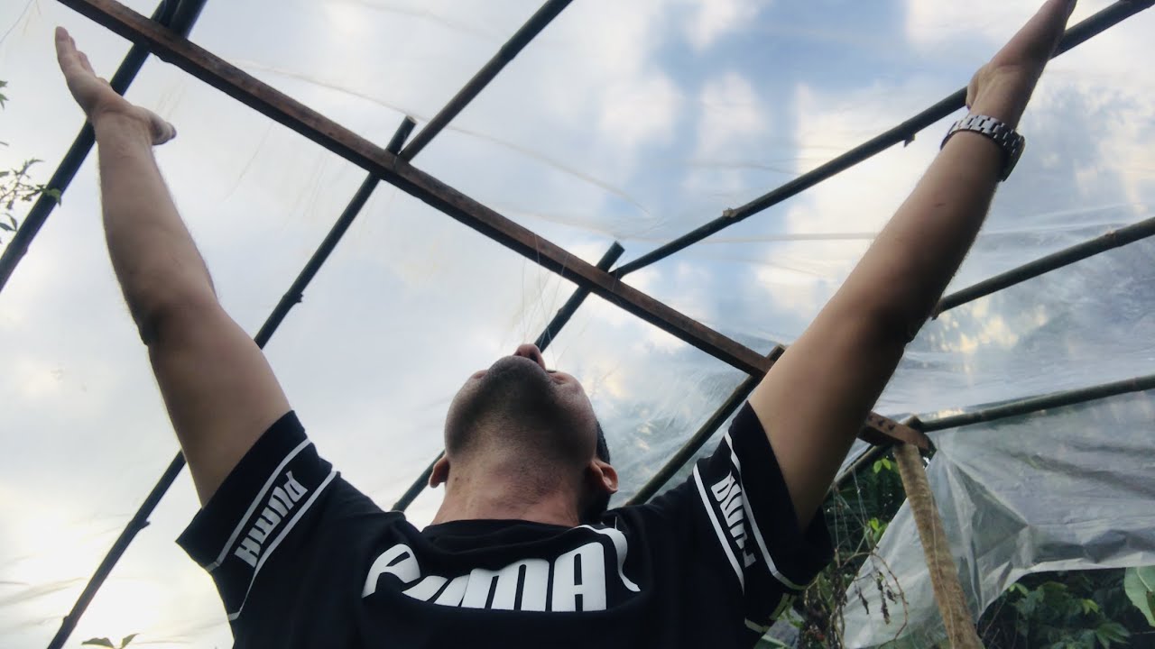 COBERTURA PLÁSTICA NA HORTA É BOM?