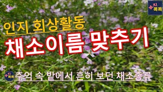 치매프로그램, 회상활동