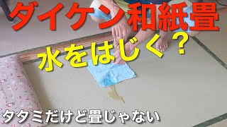 【DAIKEN和紙畳にしたら】見た目は普通の青畳なのに・・・