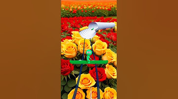 Skate Master ⛷️🏂 Level 1077 - Walkthrough Solutions - All Levels @SmilingRuku #videoshort