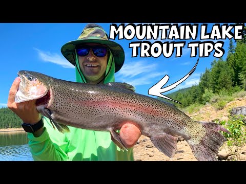 Top 7 High Mountain Lake Trout Fishing Tips 