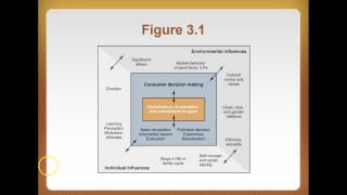 SPM4305 Chp. 3 Understanding the Sport Consumer