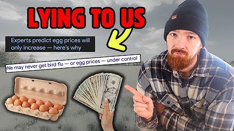 De JAARLIJKSE LEUGEN die de PRIJS VAN EIEREN VERHOOGT....(Kunnen we hier een einde aan maken?)