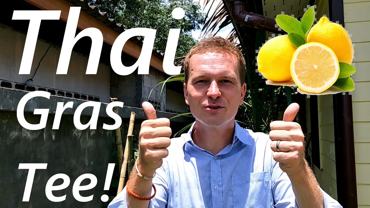 Die wertvollsten Pflanzen in Thailand - das Zitronengras Dakrai Baan - leckerer Tee selbst gemacht!